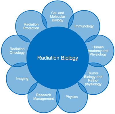 phd scholarships in radiation biology